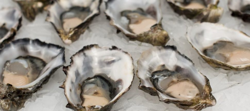 Brunch på Vesterbro: En kulinarisk oplevelse i København