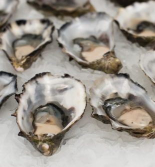 Brunch er en populær måltidstrend, der kombinerer morgenmad og frokost